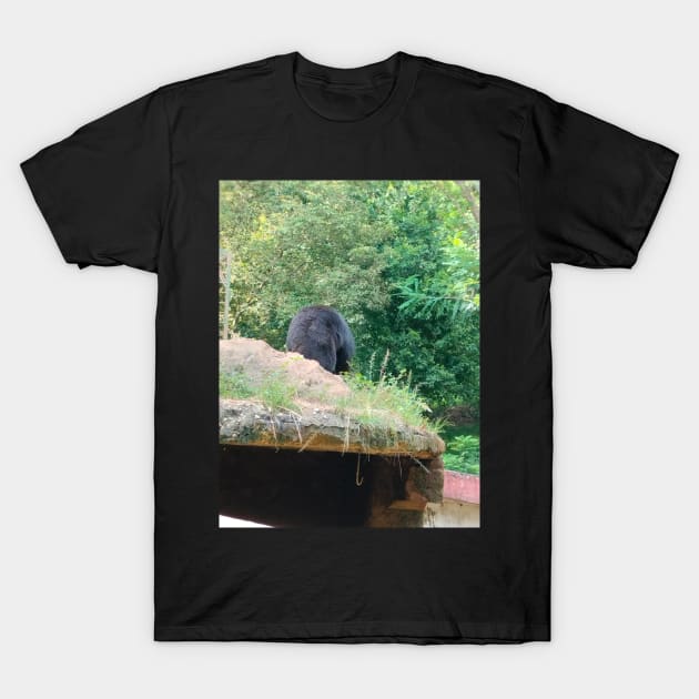 Bear T-Shirt by Axto7